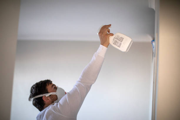 Best Fast Mold Removal  in Lacon, IL